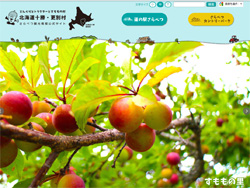 道の駅さらべつ